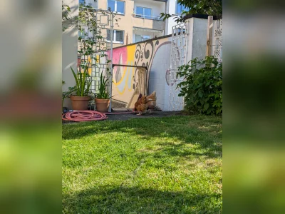 Vorschaubild 13