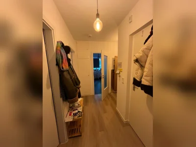 Vorschaubild 5