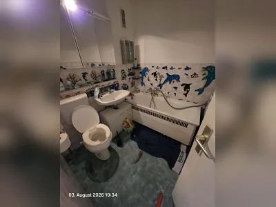 Vorschaubild 3