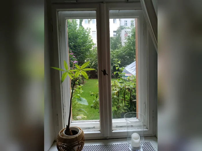 Vorschaubild 5
