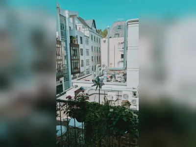 Vorschaubild 11