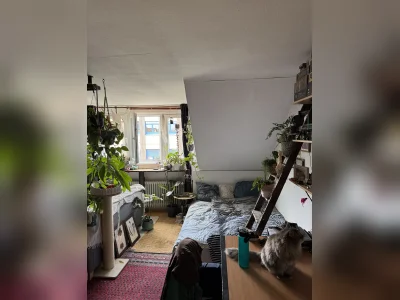 Vorschaubild 6