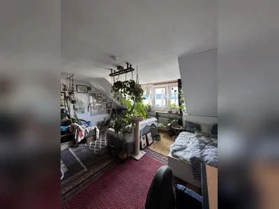 Vorschaubild 1
