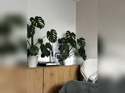 Vorschaubild 2