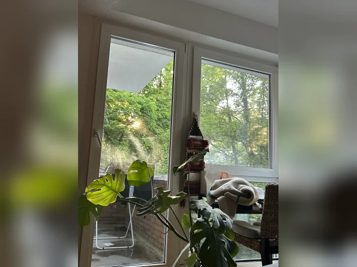 Vorschaubild 2