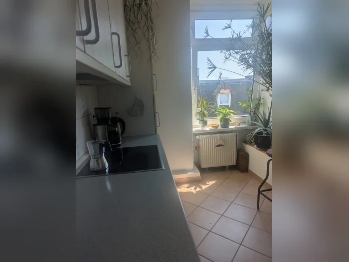 Vorschaubild 5