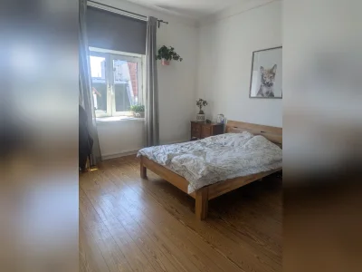 Vorschaubild 3