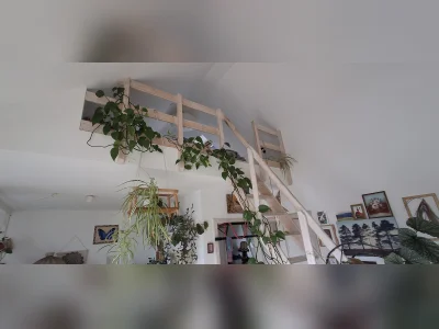 Vorschaubild 5