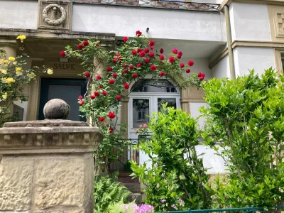 Vorschaubild 1