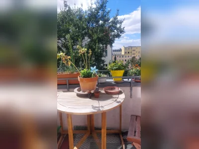 Vorschaubild 5