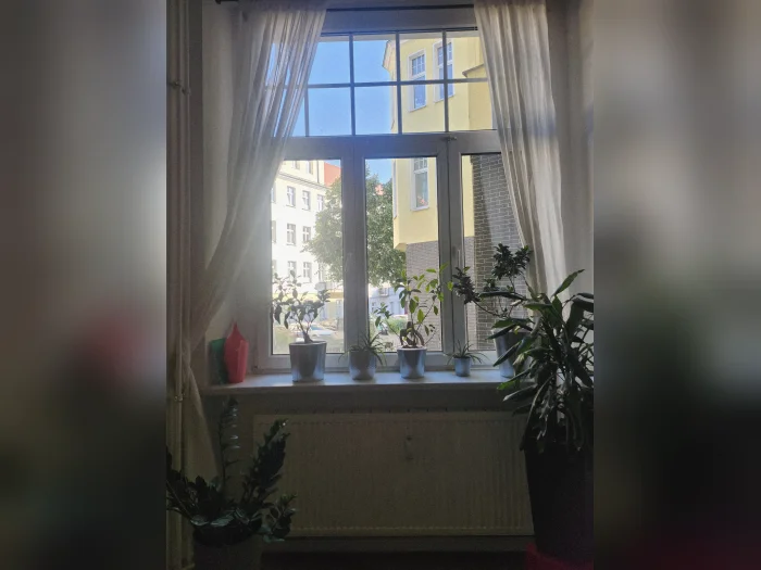 Vorschaubild 3