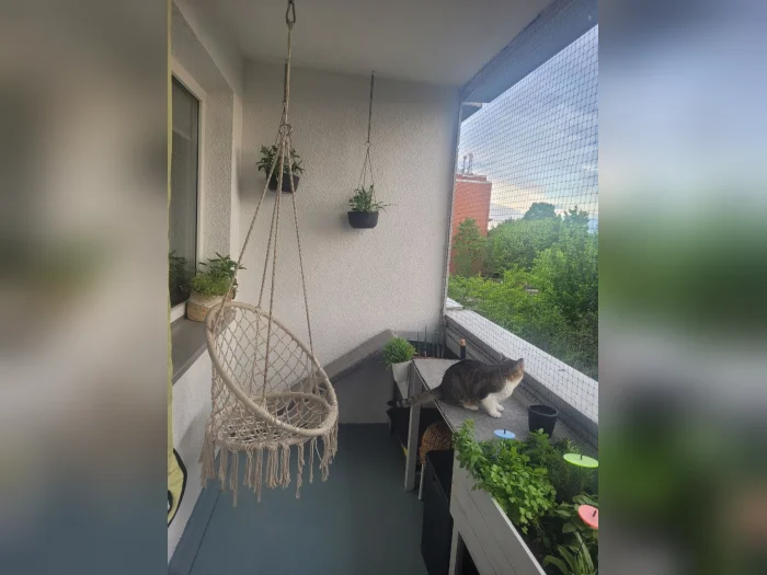 Vorschaubild 5