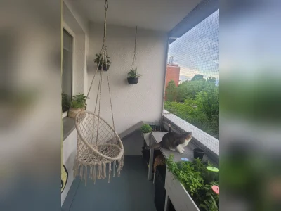 Vorschaubild 5
