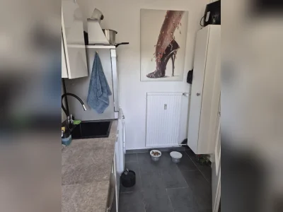 Vorschaubild 11