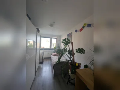 Vorschaubild 4