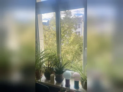Vorschaubild 6