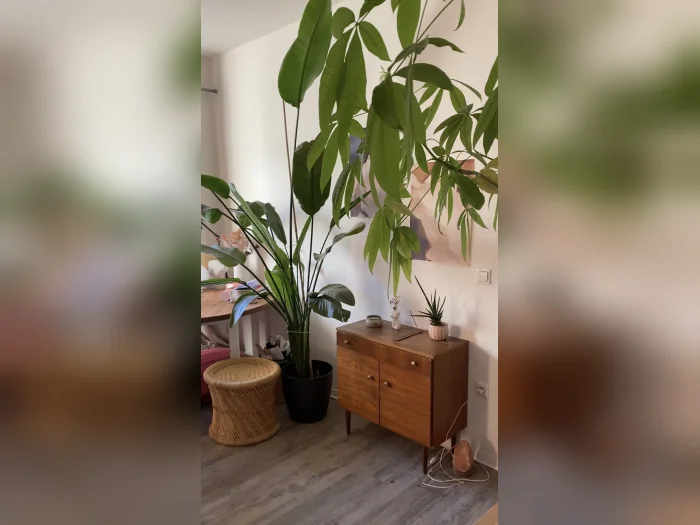 Vorschaubild 3