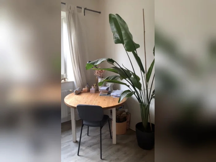 Vorschaubild 2