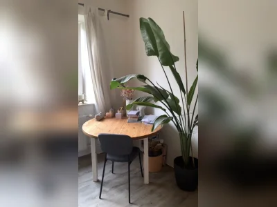 Vorschaubild 2