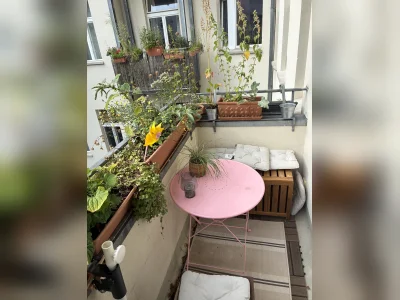 Vorschaubild 3