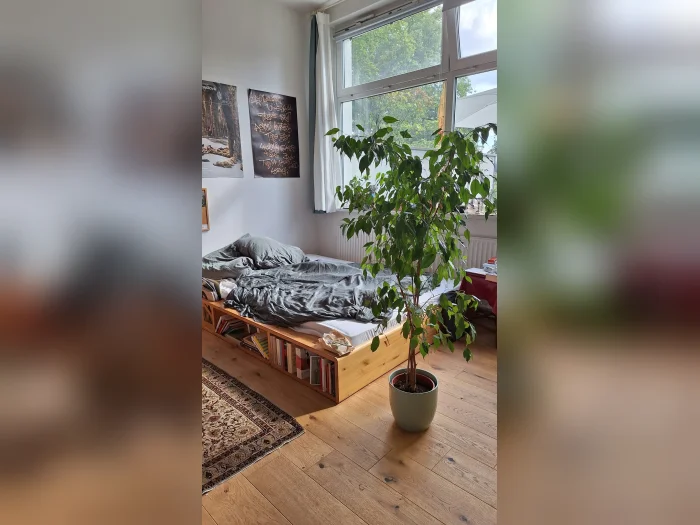 Vorschaubild 1