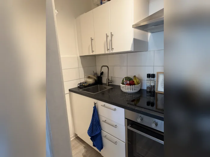 Vorschaubild 1