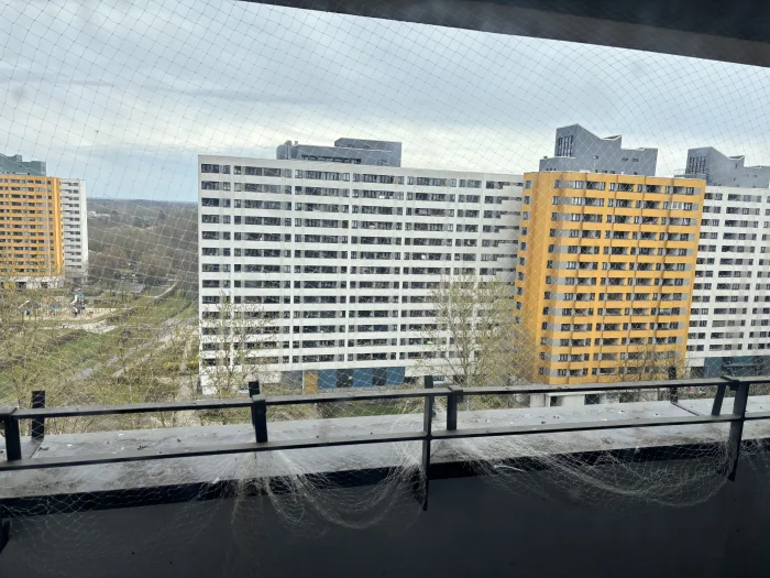 Vorschaubild 2