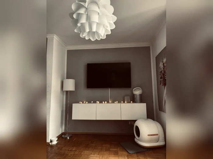 Vorschaubild 2