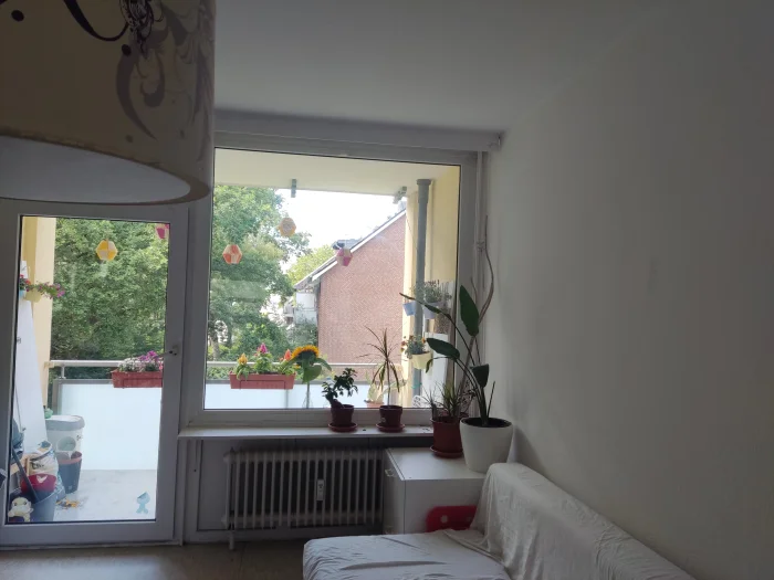 Vorschaubild 1