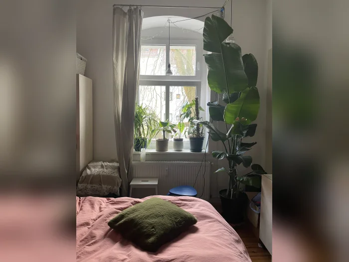 Vorschaubild 3