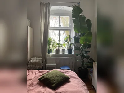 Vorschaubild 3