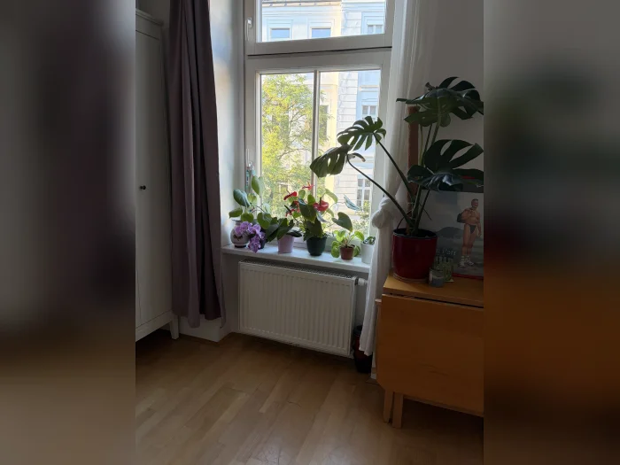 Vorschaubild 1