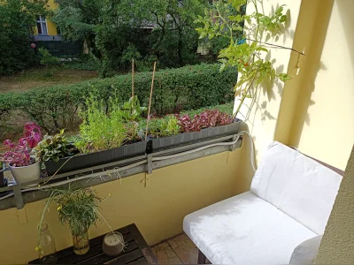 Vorschaubild 7