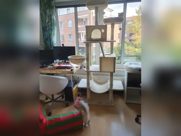 Vorschaubild 4