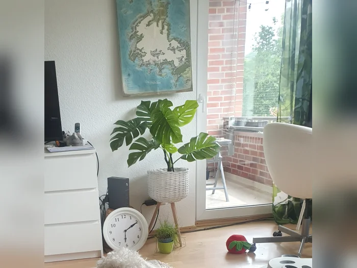 Vorschaubild 2