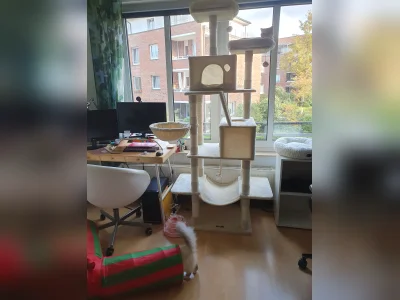 Vorschaubild 4