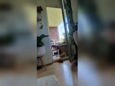 Vorschaubild 7