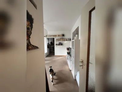 Vorschaubild 8