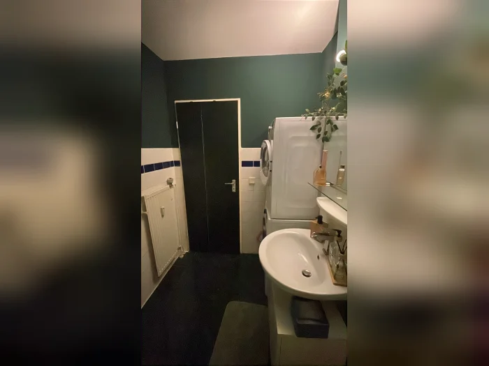 Vorschaubild 11