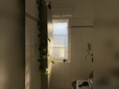 Vorschaubild 8
