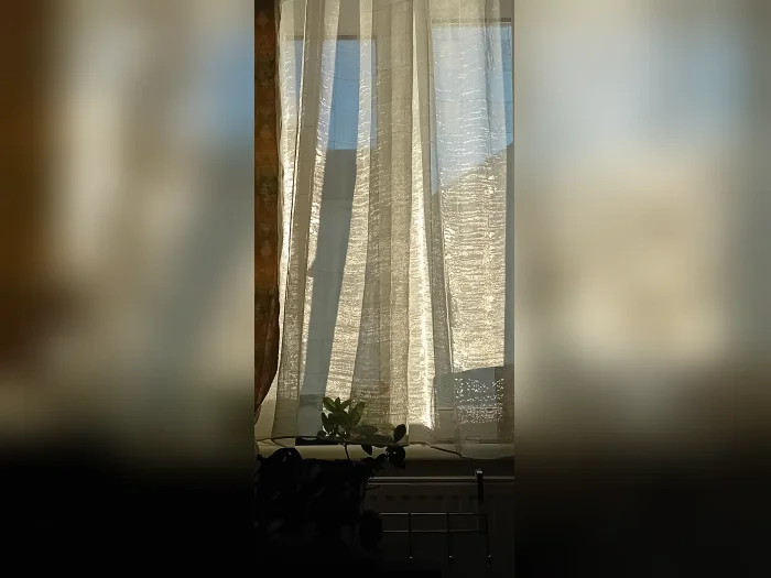 Vorschaubild 4