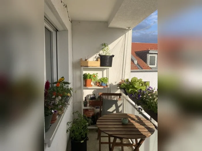 Vorschaubild 1