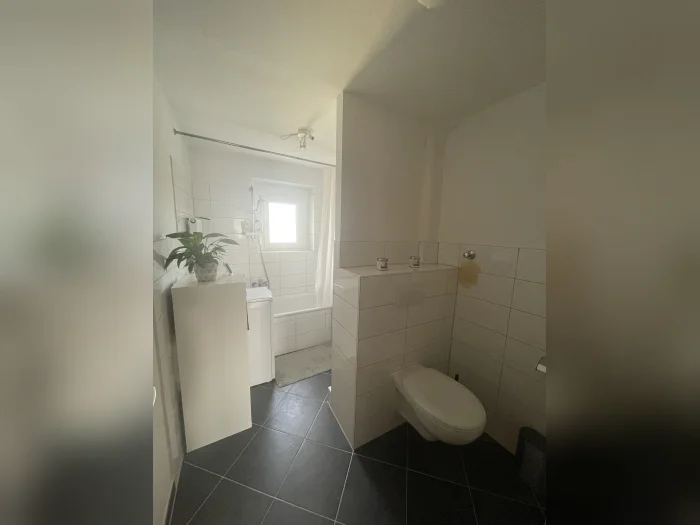 Vorschaubild 8