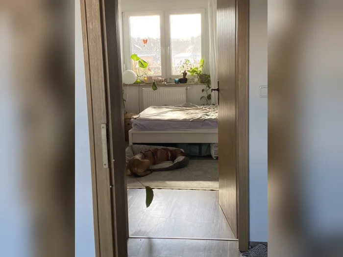 Vorschaubild 6