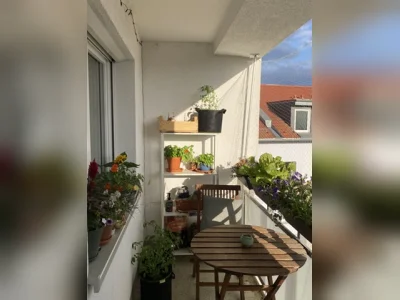 Vorschaubild 1