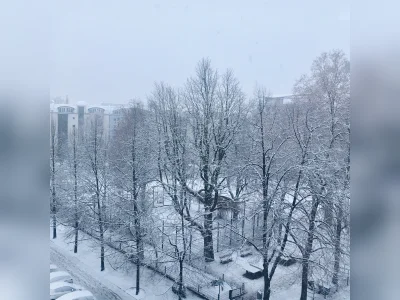 Vorschaubild 4