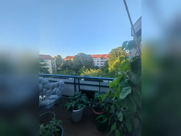 Vorschaubild 13