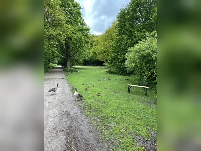 Vorschaubild 9