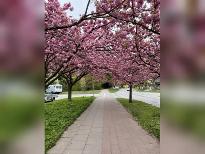 Vorschaubild 8