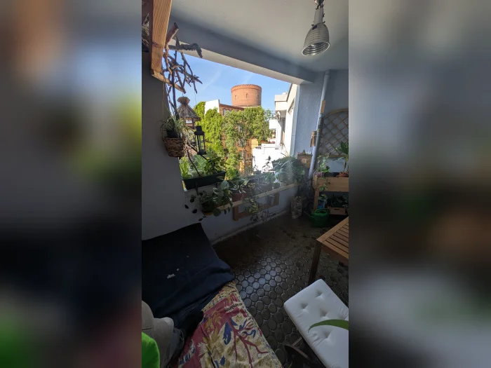 Vorschaubild 1